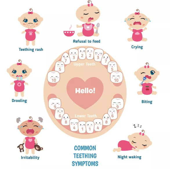 How to Find Out If a Baby Is Teething